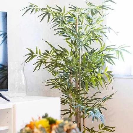 Rosarito By Silastur *