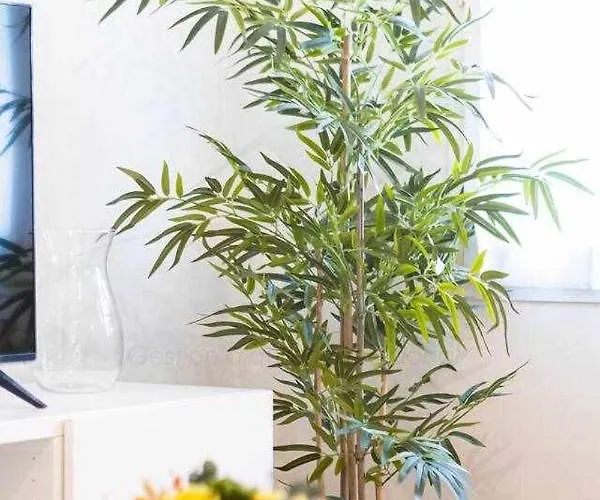 Rosarito By Silastur *